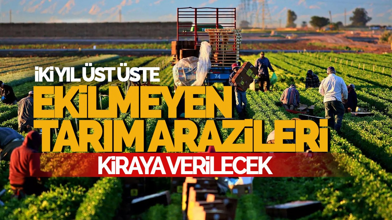 İki Yıl Üst Üste Ekilmeyen Tarım Arazileri Kiraya Verilecek