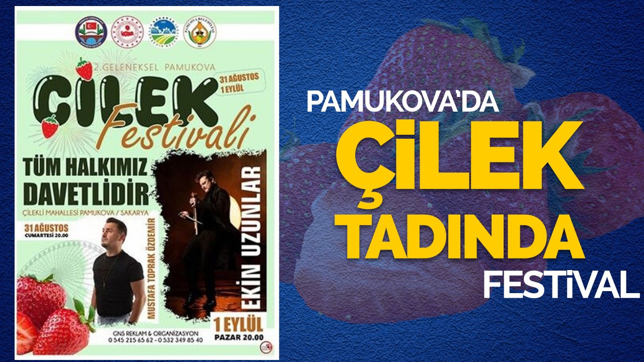 Pamukova'da çilek tadında festival