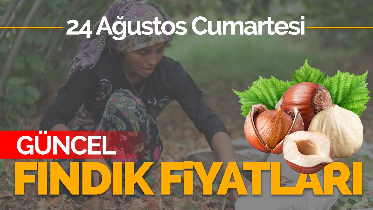 24 Ağustos Cumartesi Güncel Fındık Fiyatları