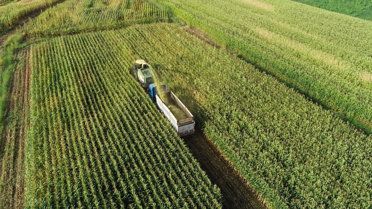 Tarımsal Destek Ödemesi Bugün Hesaplara Yatıyor