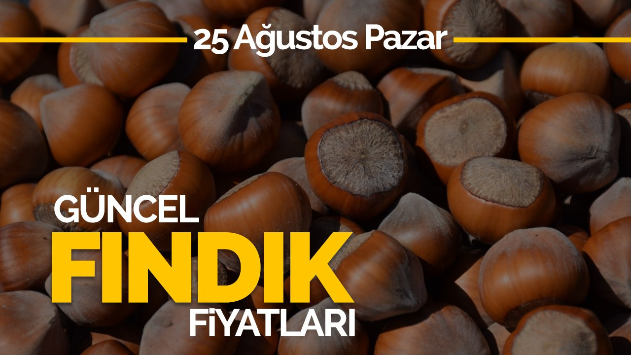 25 Ağustos Pazar Güncel Fındık Fiyatları