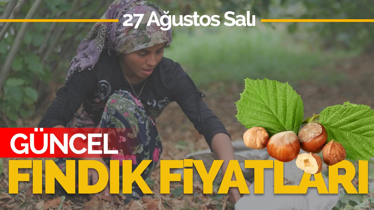 27 Ağustos Salı Güncel Fındık Fiyatları