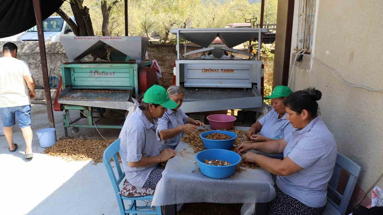 Muğla’nın tarımsal ürünleri dünyaya açılıyor