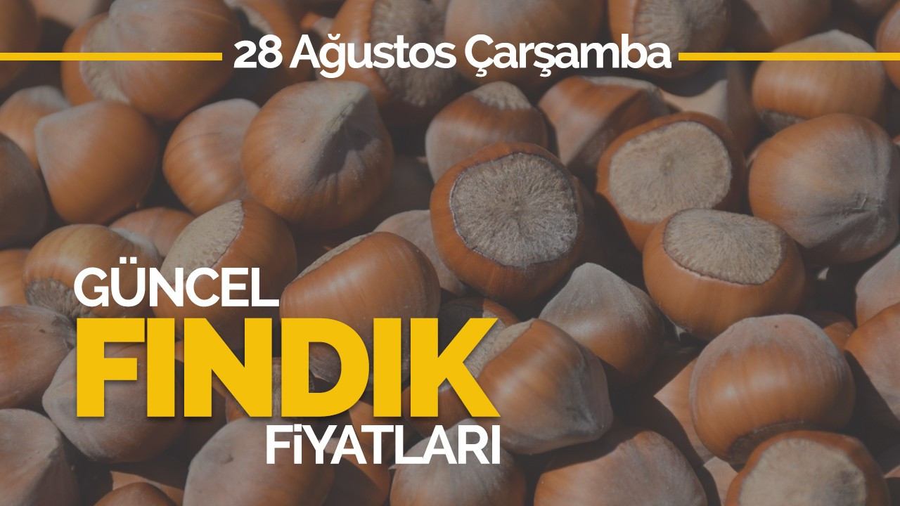 28 Ağustos Çarşamba Güncel Fındık Fiyatları