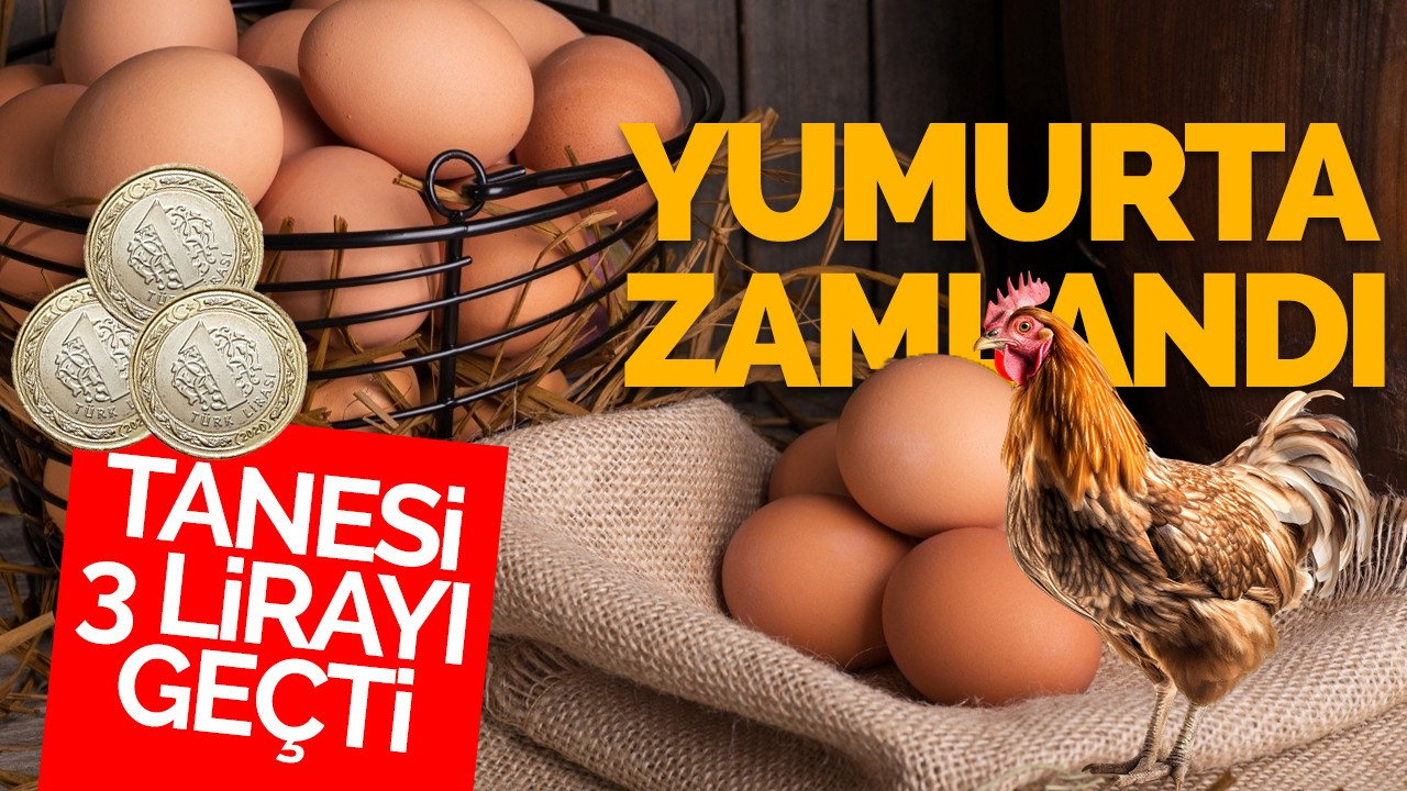 Yumurta zamlandı!