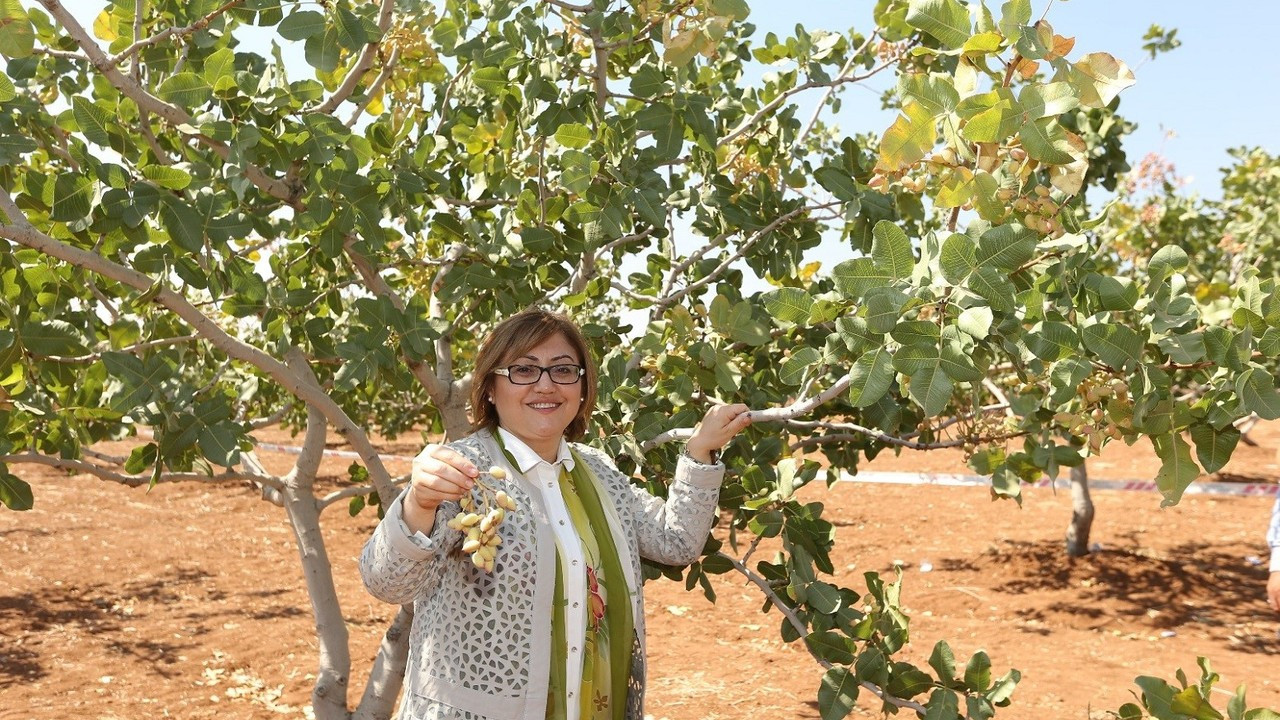 Gaziantep’in mutfak ve kültür zenginliği yeniden dünya sahnesinde