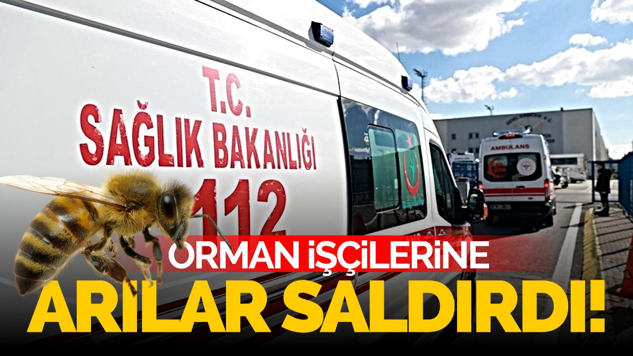 Orman işçilerine arılar saldırdı