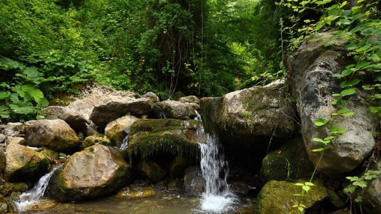 Sakarya'nın doğal güzellikleri - Sayfa 1