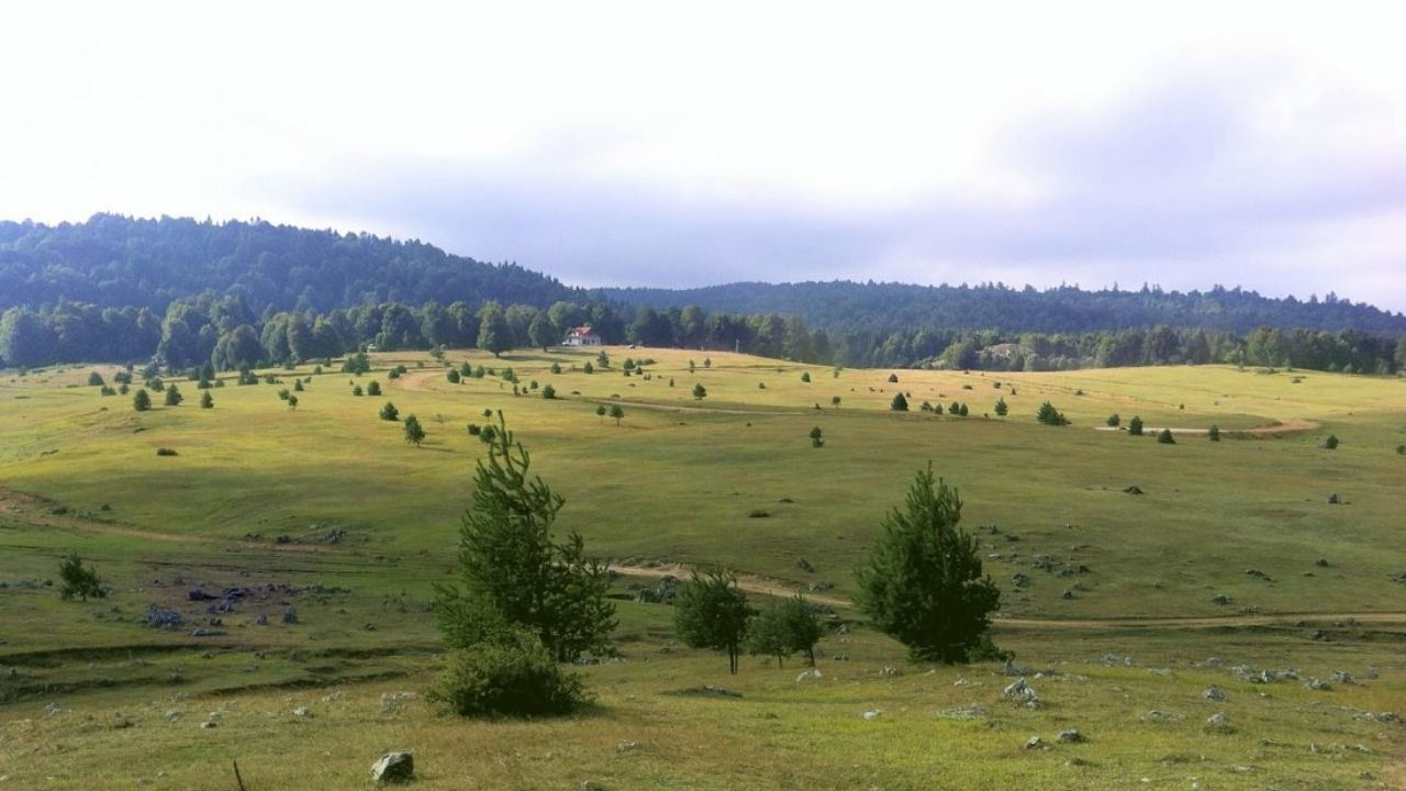 Sakarya'nın doğal güzellikleri - Sayfa 6