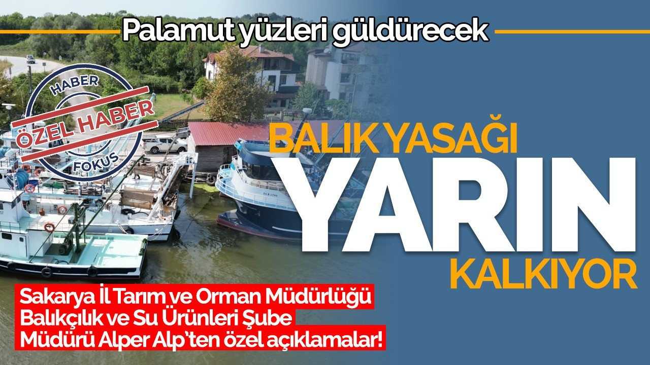 Av yasağı yarın kalkıyor: Palamut yüzleri güldürecek!