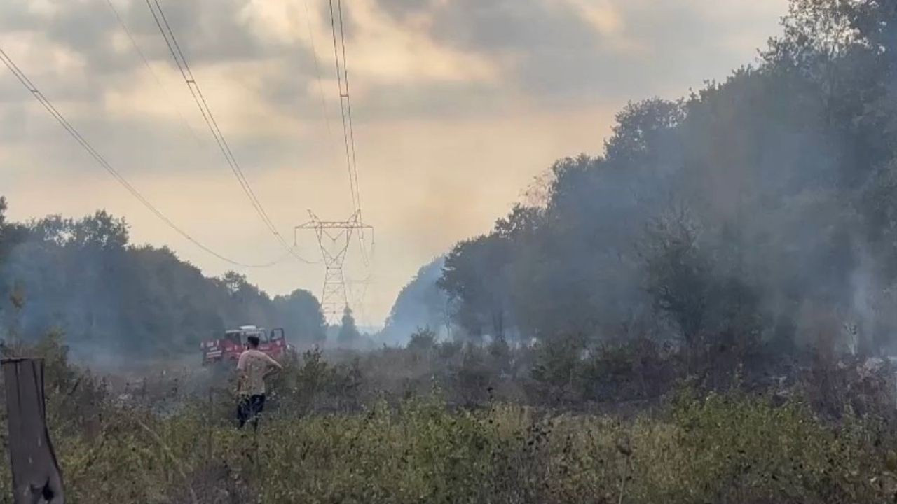 Sakarya Hendek'te Korkutan Yangın: Ekipler Zamanında Müdahale Etti