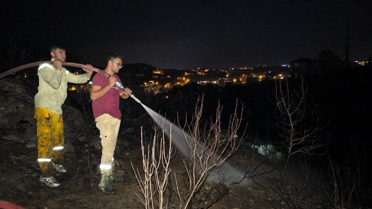 Alanya'da Elektrik Tellerinden Çıkan Yangın 10 Dönüm Zarar Verdi