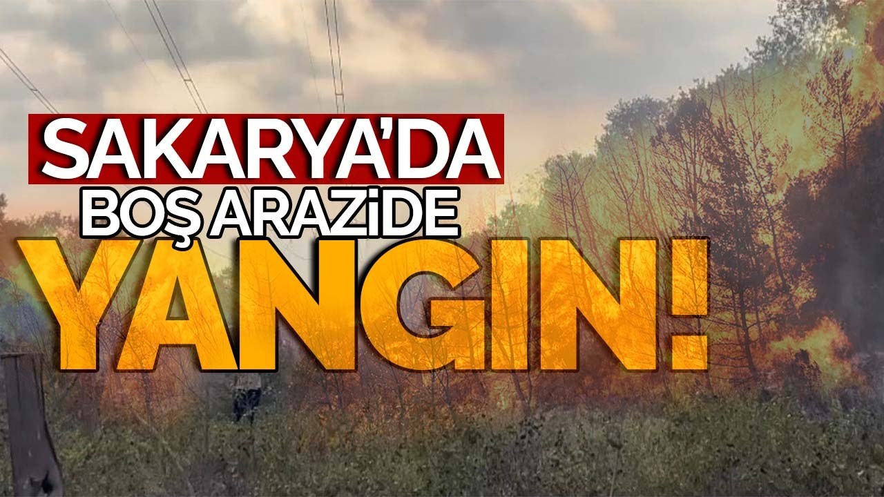 Sakarya'da boş arazide yangın