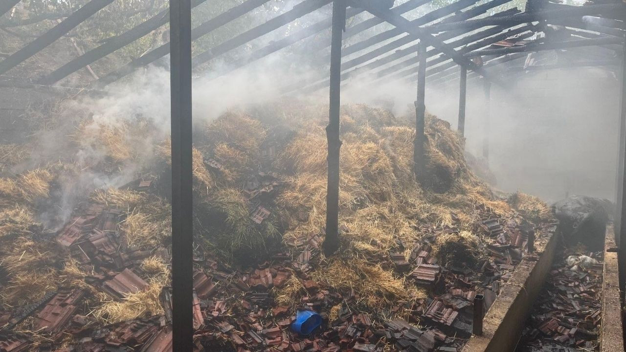 Besihanede Korkunç Yangın: 5 Yaralı, 3 Hayvan Telef Oldu