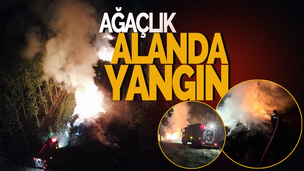 Ağaçlık Alanda Yangın Paniği: Ekipler Zamanında Müdahale Etti