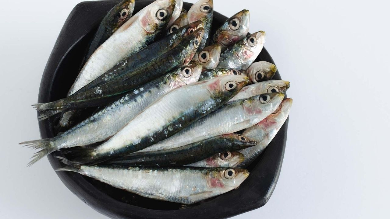 Eylül Balığı Sardalyanın Faydaları: Omega-3 Zengini Küçük Dev - Sayfa 6