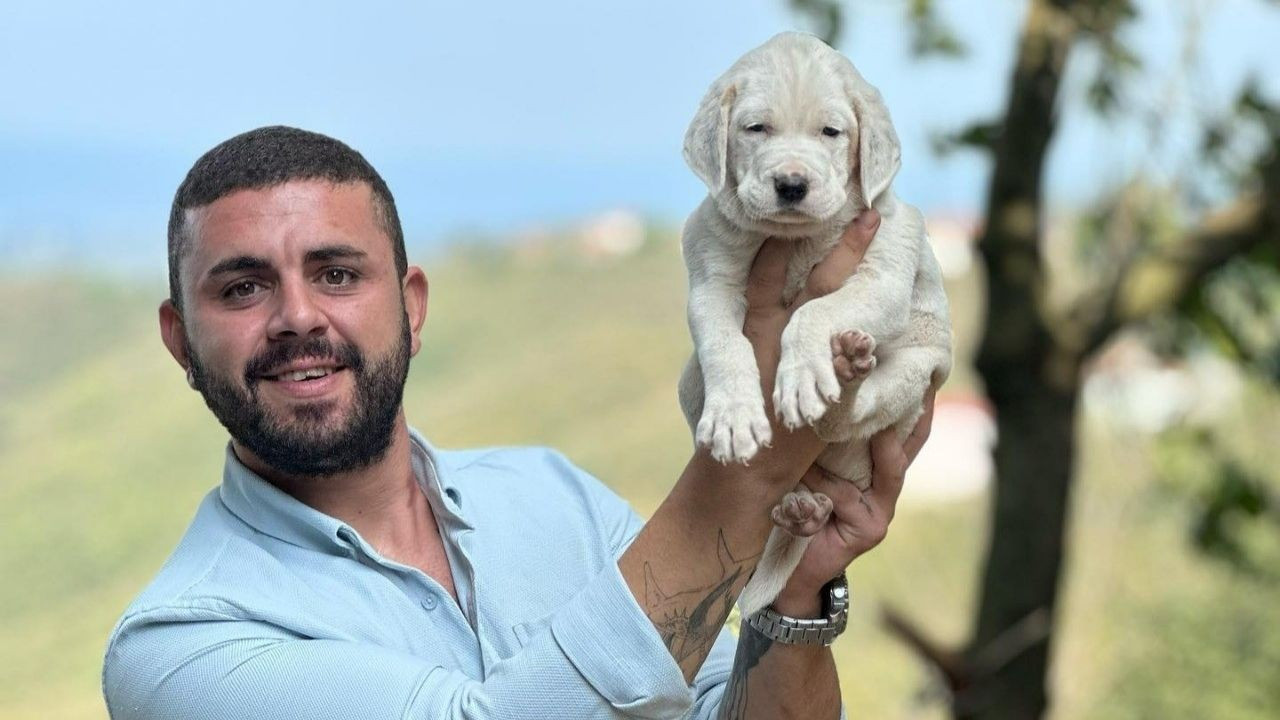 Belediye başkanının yeğeni trafik kazasında hayatını kaybetti