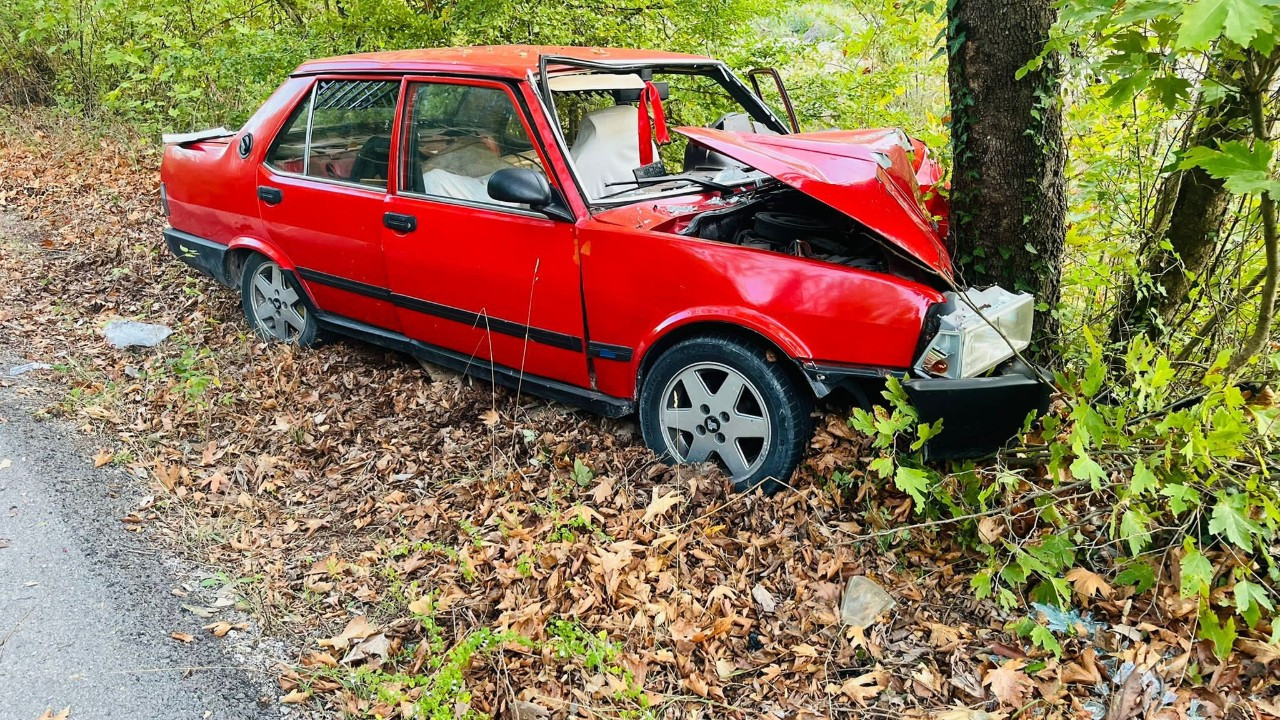 Ağaca çarpan otomobildeki 2 kişi yaralandı