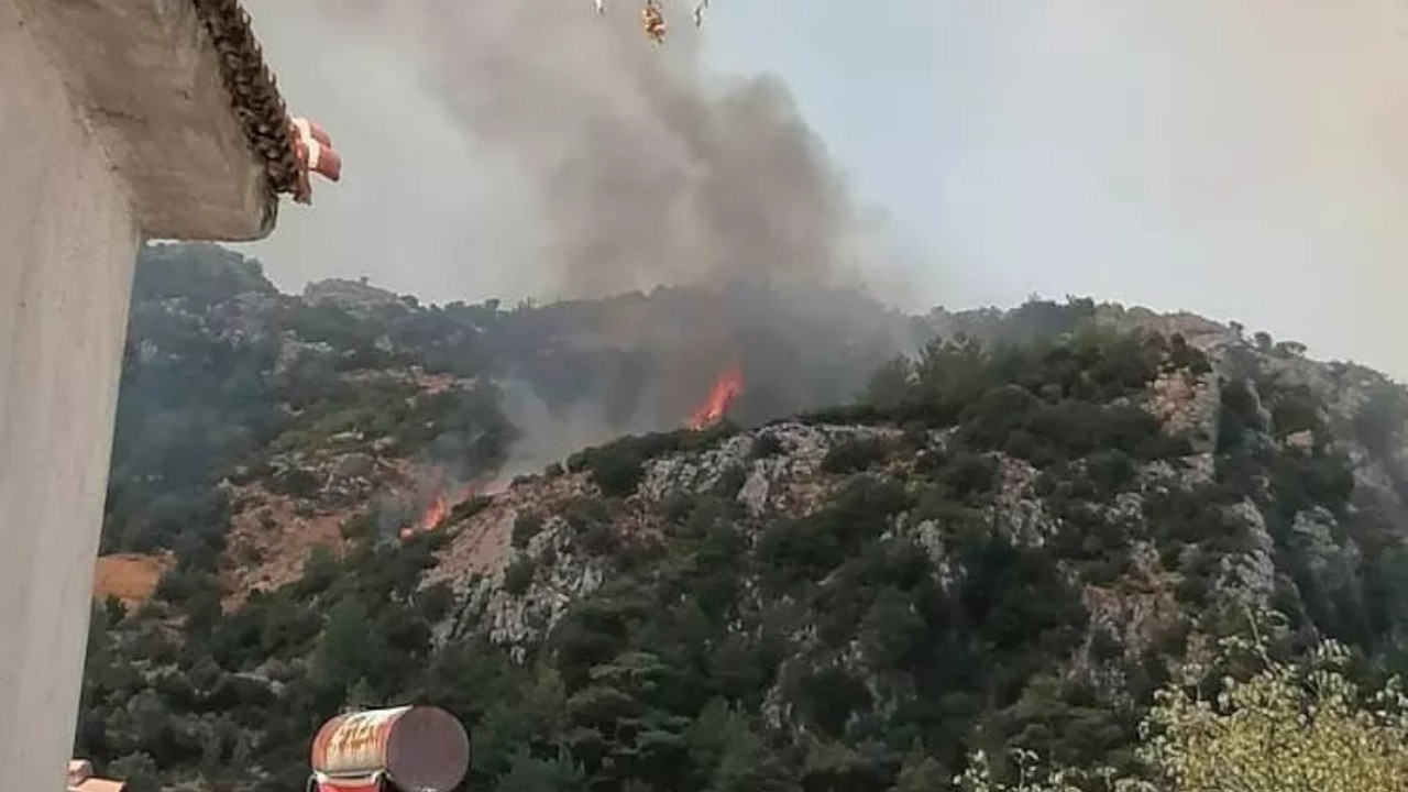 Muğla, Antalya ve İzmir'de orman yangını!