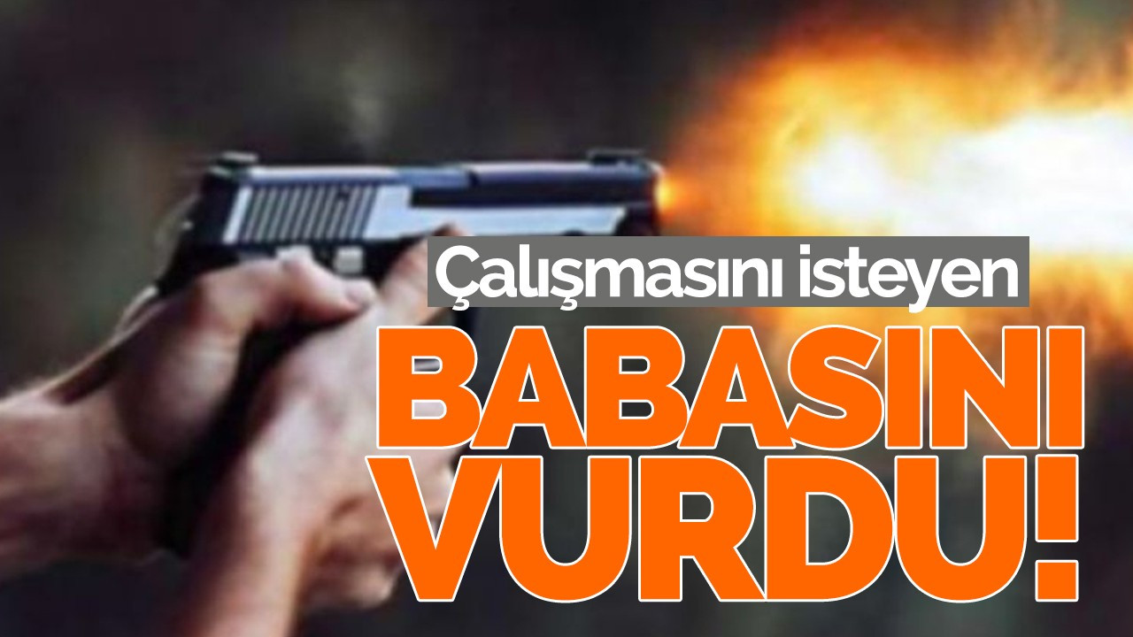 Çalışmasını söyleyen babasını vurdu!