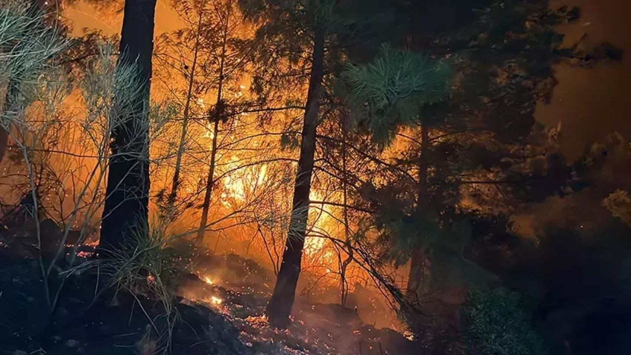 Muğla'daki Orman Yangını 24 Saatten Fazladır Sürüyor
