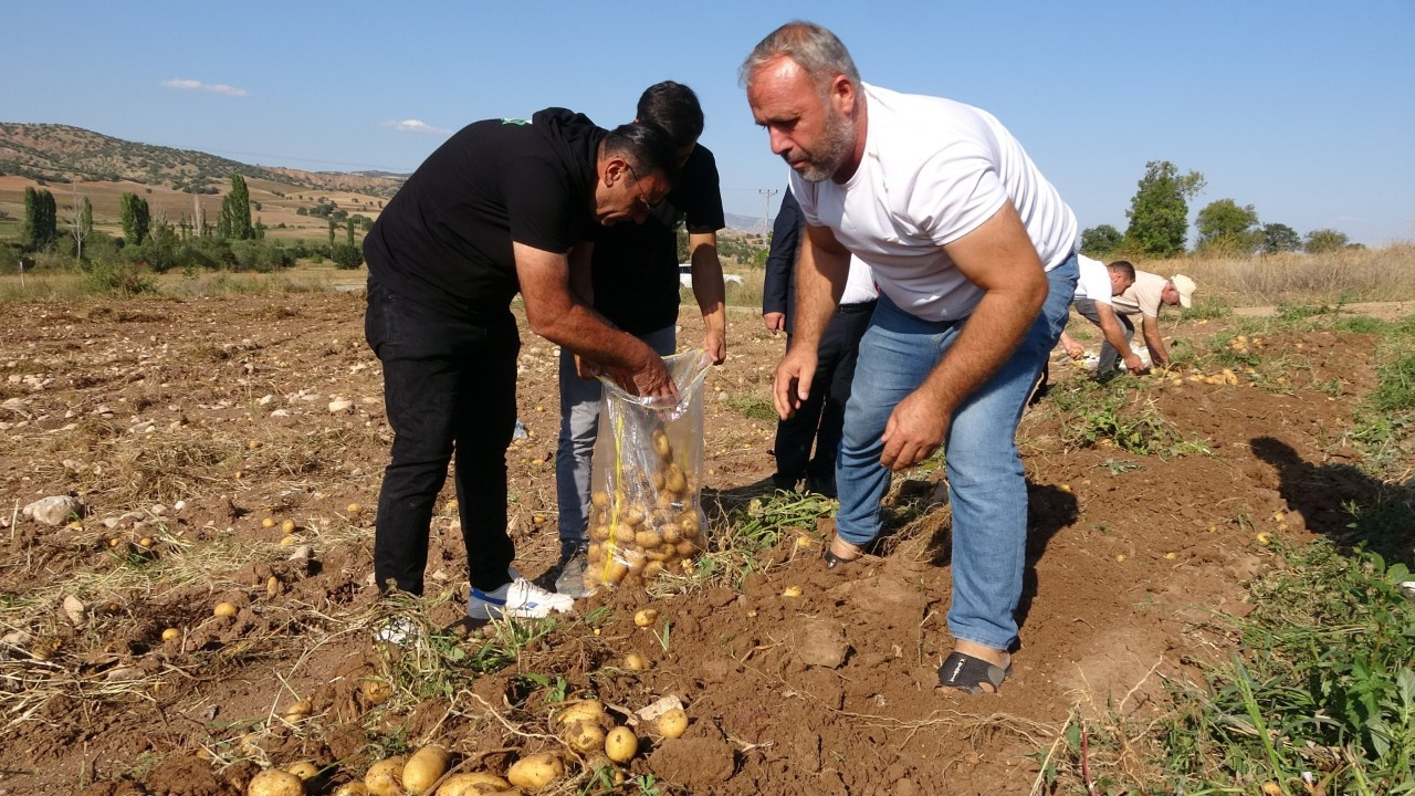 Verim ve kaliteden memnun kalan patates üreticileri, tarla satış fiyatını düşük buldu