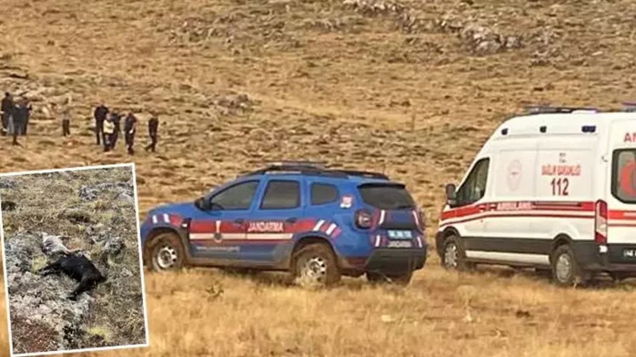 Elbistan'da Yıldırım Çarpan Çoban Hayatını Kaybetti, 2 Keçi Telef Oldu