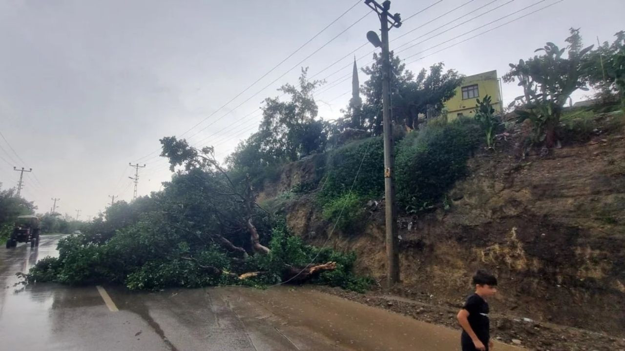 Adana'da Şiddetli Fırtına: Yola Devrilen Ağaç Trafiği Felç Etti