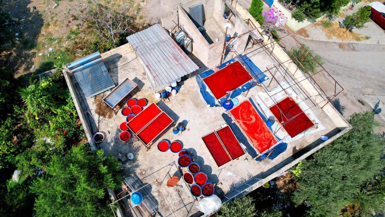 Adana’da Salça Sezonu Başladı: Damlar Kırmızıya Boyandı