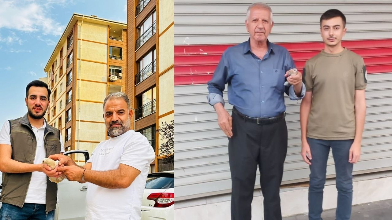 Şırnak’ta yaralı bulunan kuş türleri tedavi altına alındı