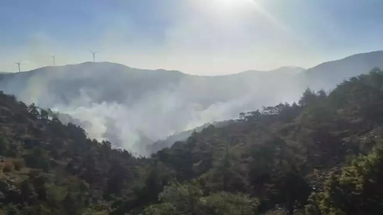 Hatay'da orman yangını! Müdahale sürüyor