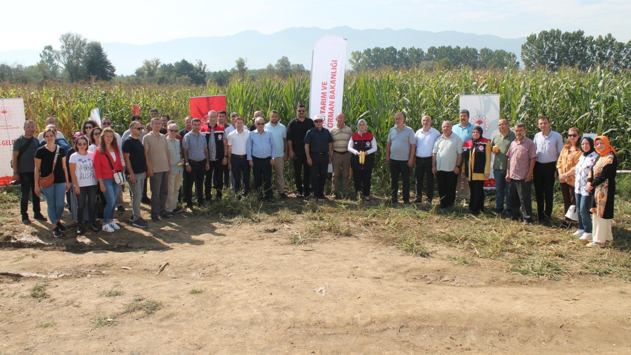 Düzce’de Yerli Silajlık Mısır İçin Tarla Günü Düzenlendi