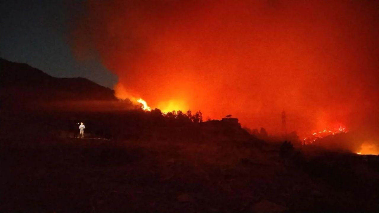 İzmir Yangınının Nedeni Kaçak Kazı! 5 Kişi Tutuklandı