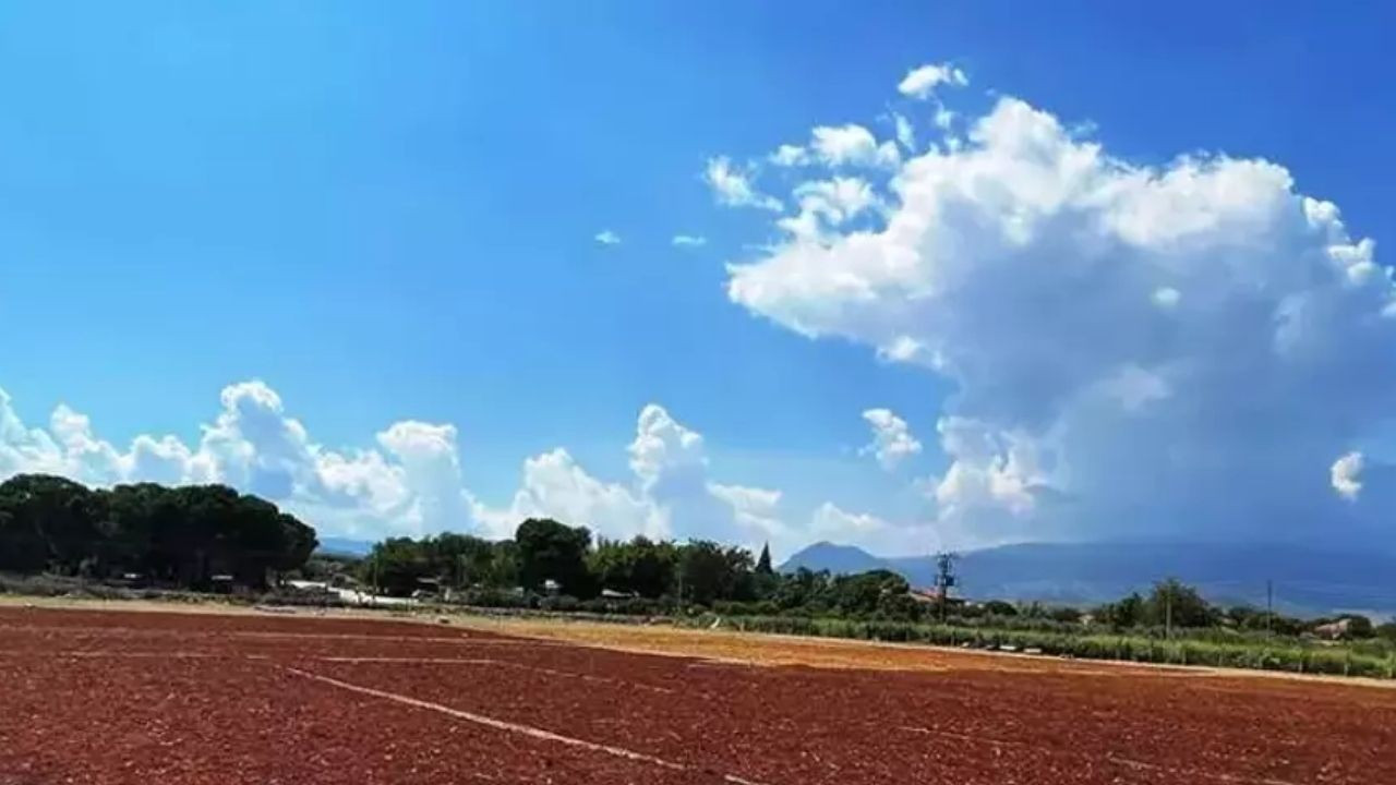 Manisa'da Sağanak Üzüm Hasadını Vurdu: Büyük Zarar