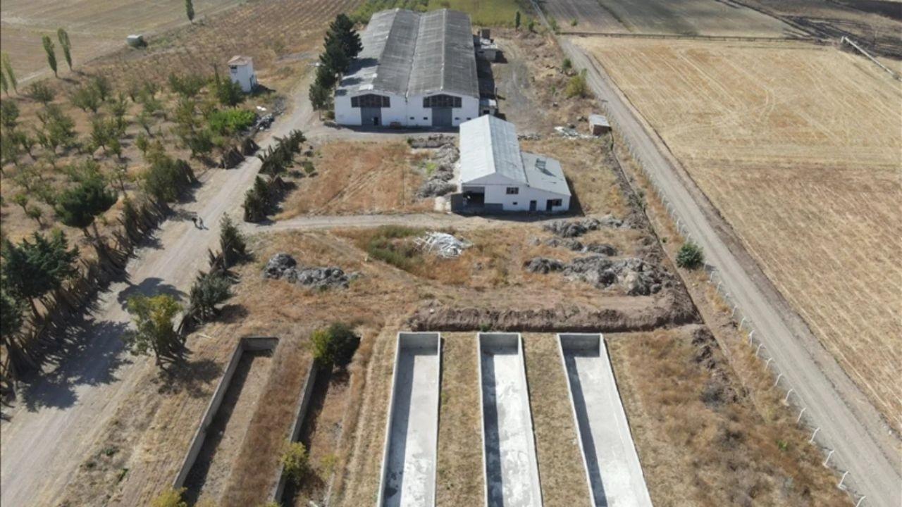 Türkiye'nin İlk Kenevir Fabrikası 40 Yıl Sonra Yeniden Faaliyete Başladı