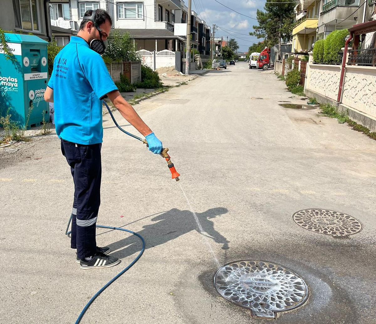 Sakarya Büyükşehir Belediyesi Her Köşede Haşereyle Mücadele Ediyor - Sayfa 10