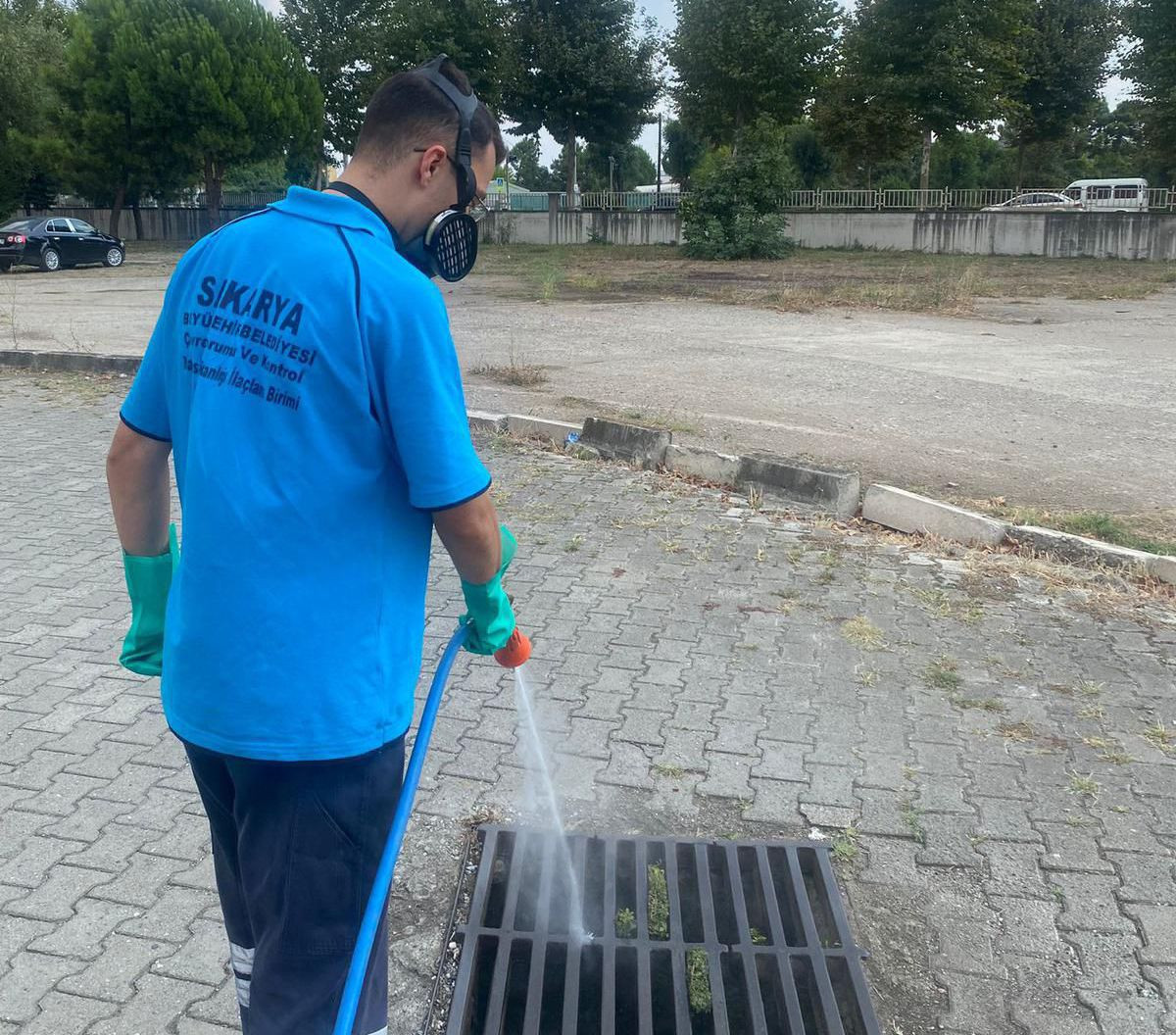 Sakarya Büyükşehir Belediyesi Her Köşede Haşereyle Mücadele Ediyor - Sayfa 5