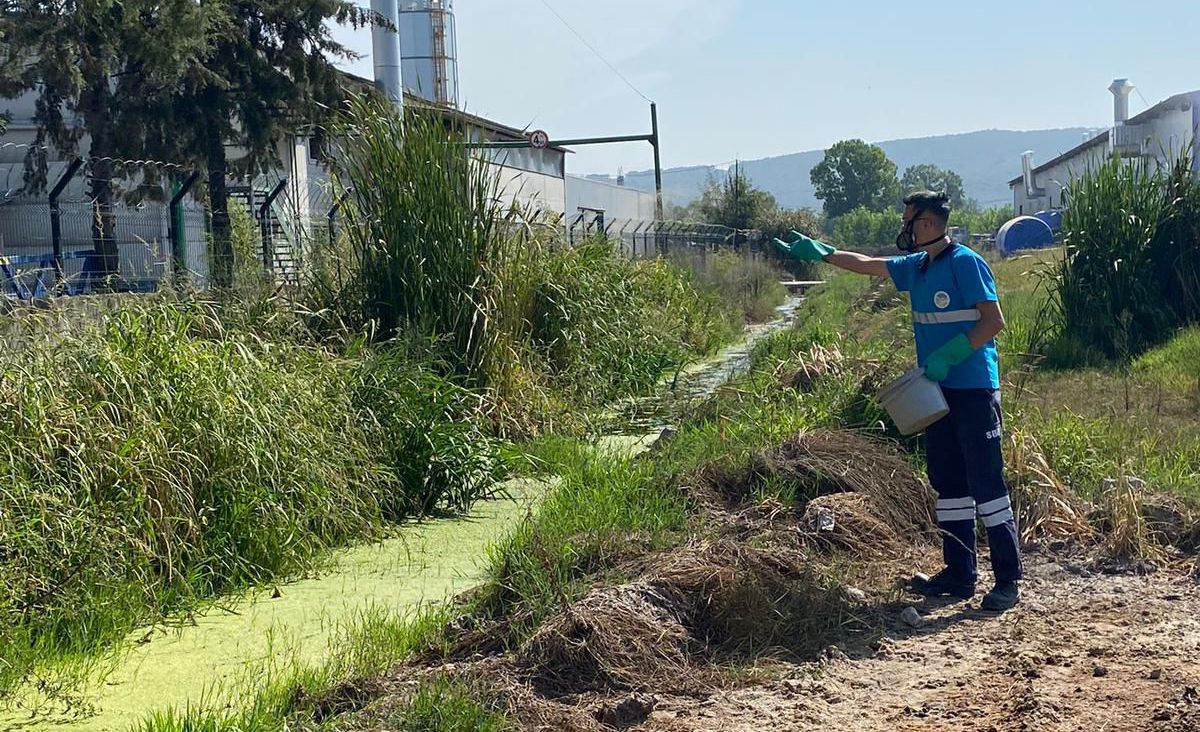 Sakarya Büyükşehir Belediyesi Her Köşede Haşereyle Mücadele Ediyor - Sayfa 4