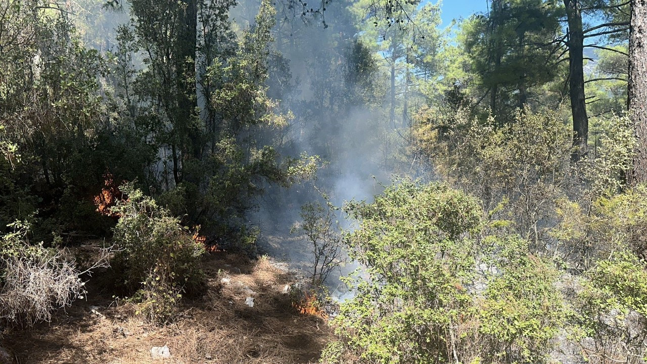 Muğla'da yıldırım yangını büyümeden söndürüldü