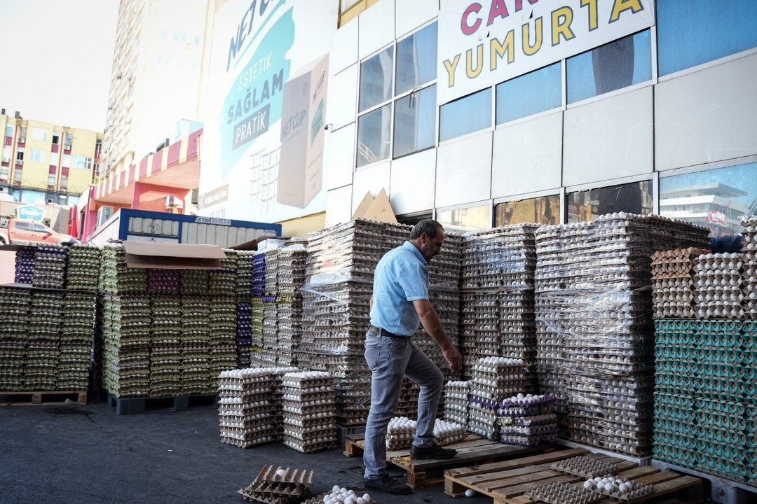 Yumurta fiyatlarındaki sezonluk indirim son buldu, fiyatlar eski seviyeye döndü - Sayfa 4