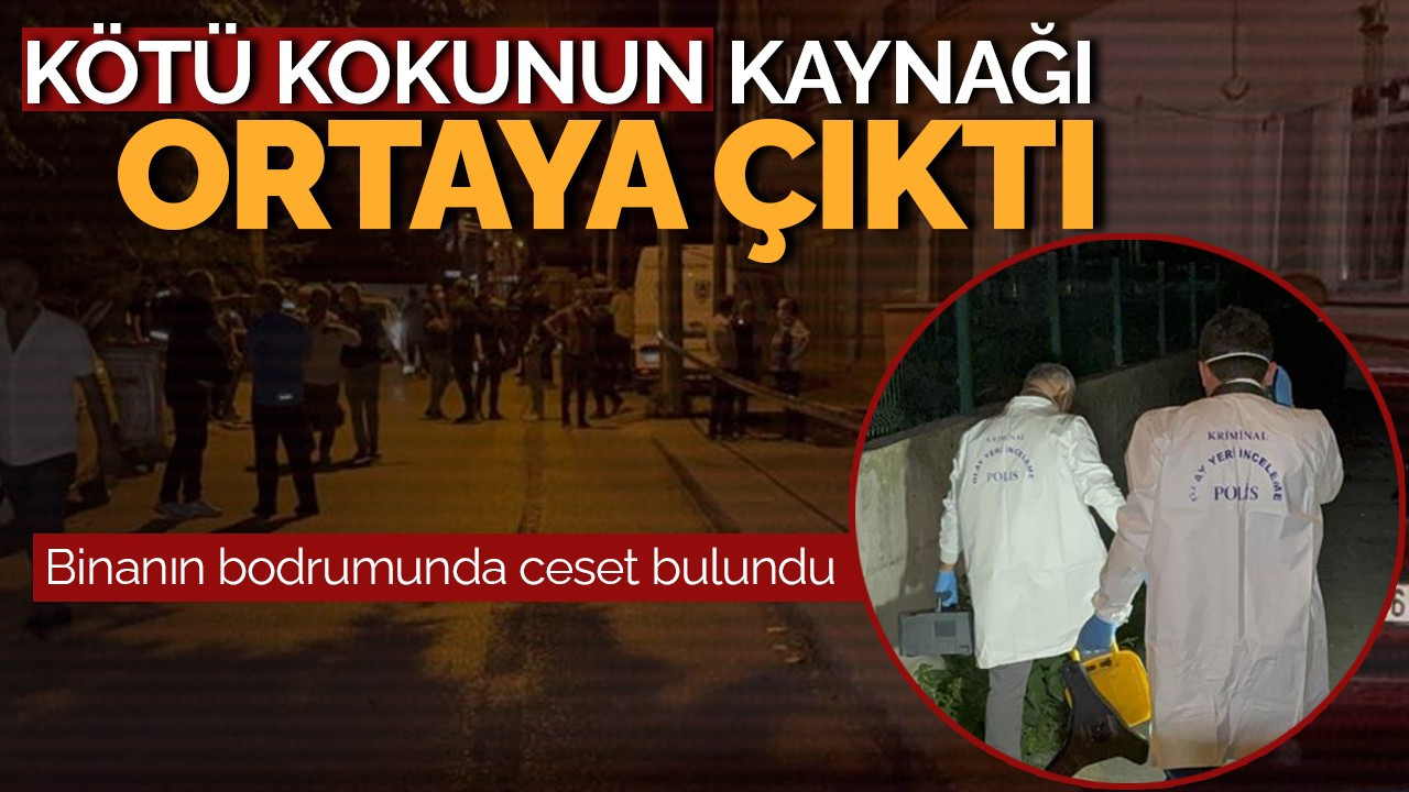 Kötü kokunun kaynağı ortaya çıktı: Binanın bodrumunda ceset bulundu