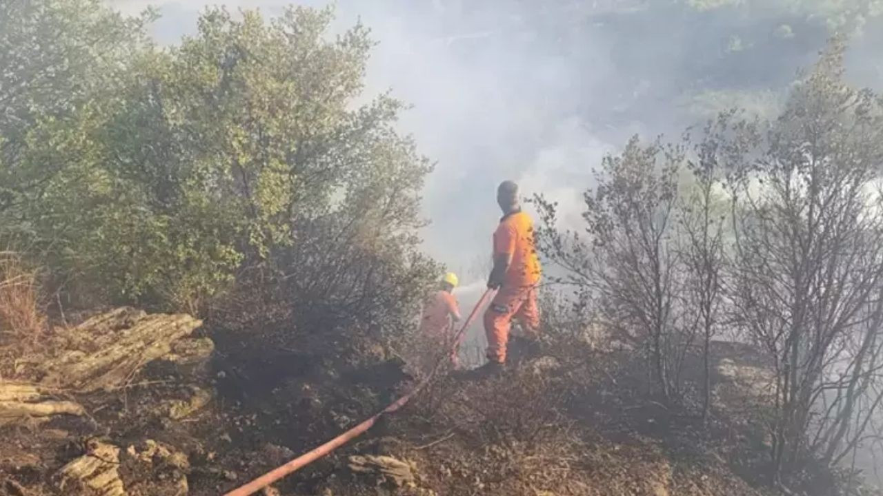 Ormanlık Alanda Yangın Çıktı! Müdahale Devam Ediyor