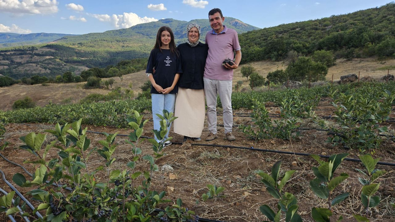 Sındırgı'da Aronya Hasadı: Çiftçiler İçin Yeni Bir Umut - Sayfa 6