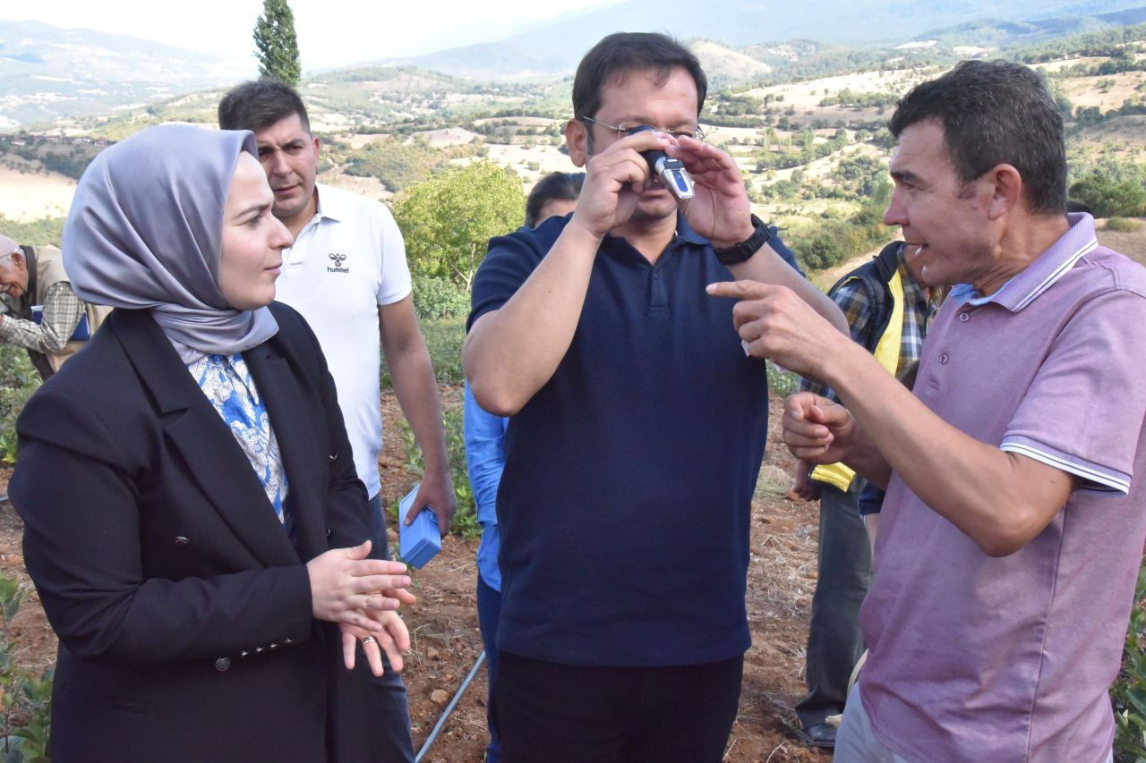 Sındırgı'da Aronya Hasadı: Çiftçiler İçin Yeni Bir Umut - Sayfa 5