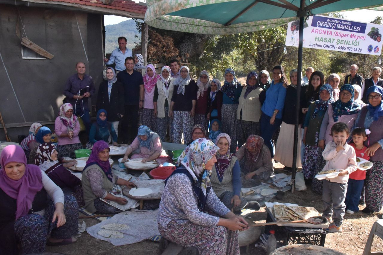 Sındırgı'da Aronya Hasadı: Çiftçiler İçin Yeni Bir Umut - Sayfa 3