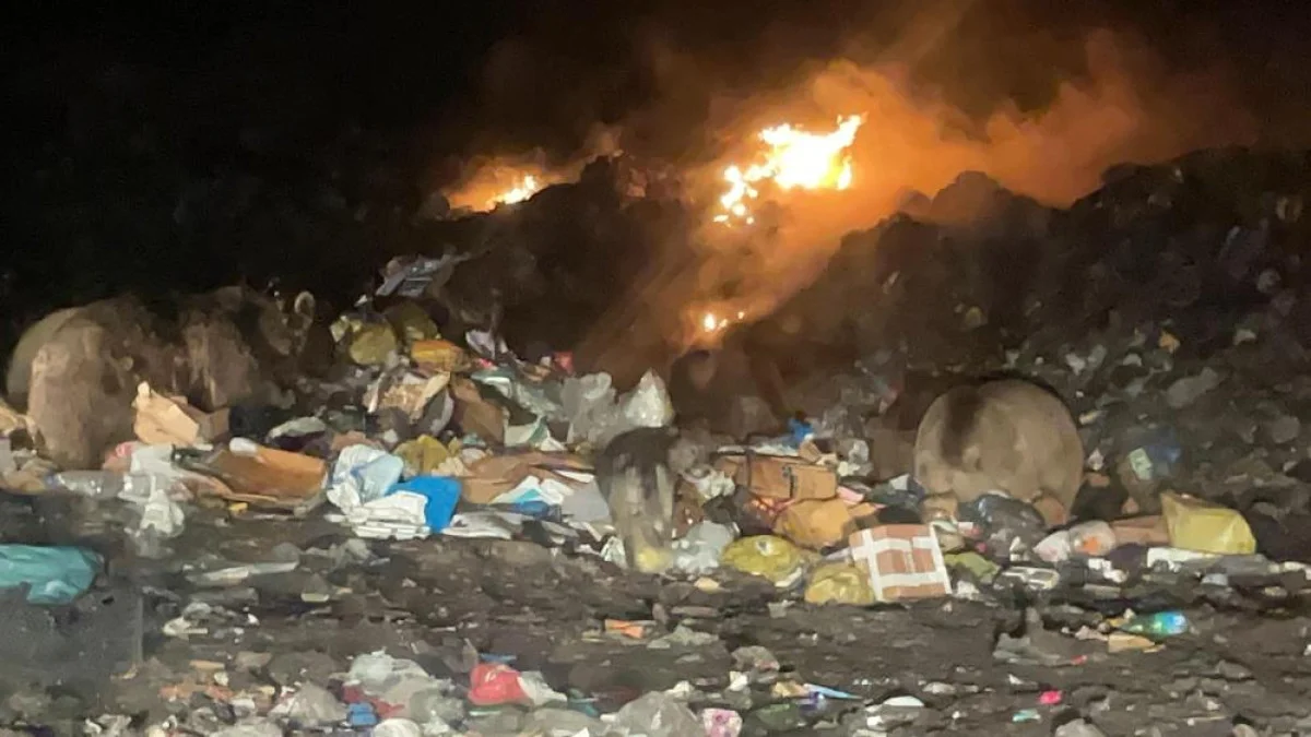 Sarıkamış'ta Çöplüğe İnen Ayılarla Selfie Çılgınlığı - Sayfa 1