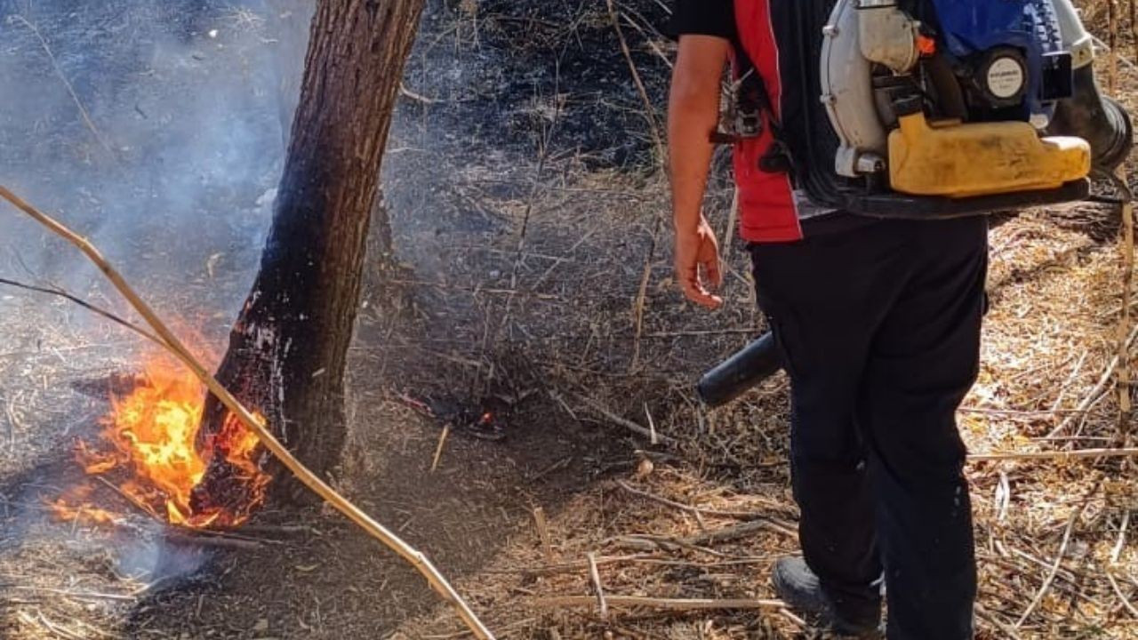 Mardin’de ormanlık alanda çıkan yangın söndürüldü