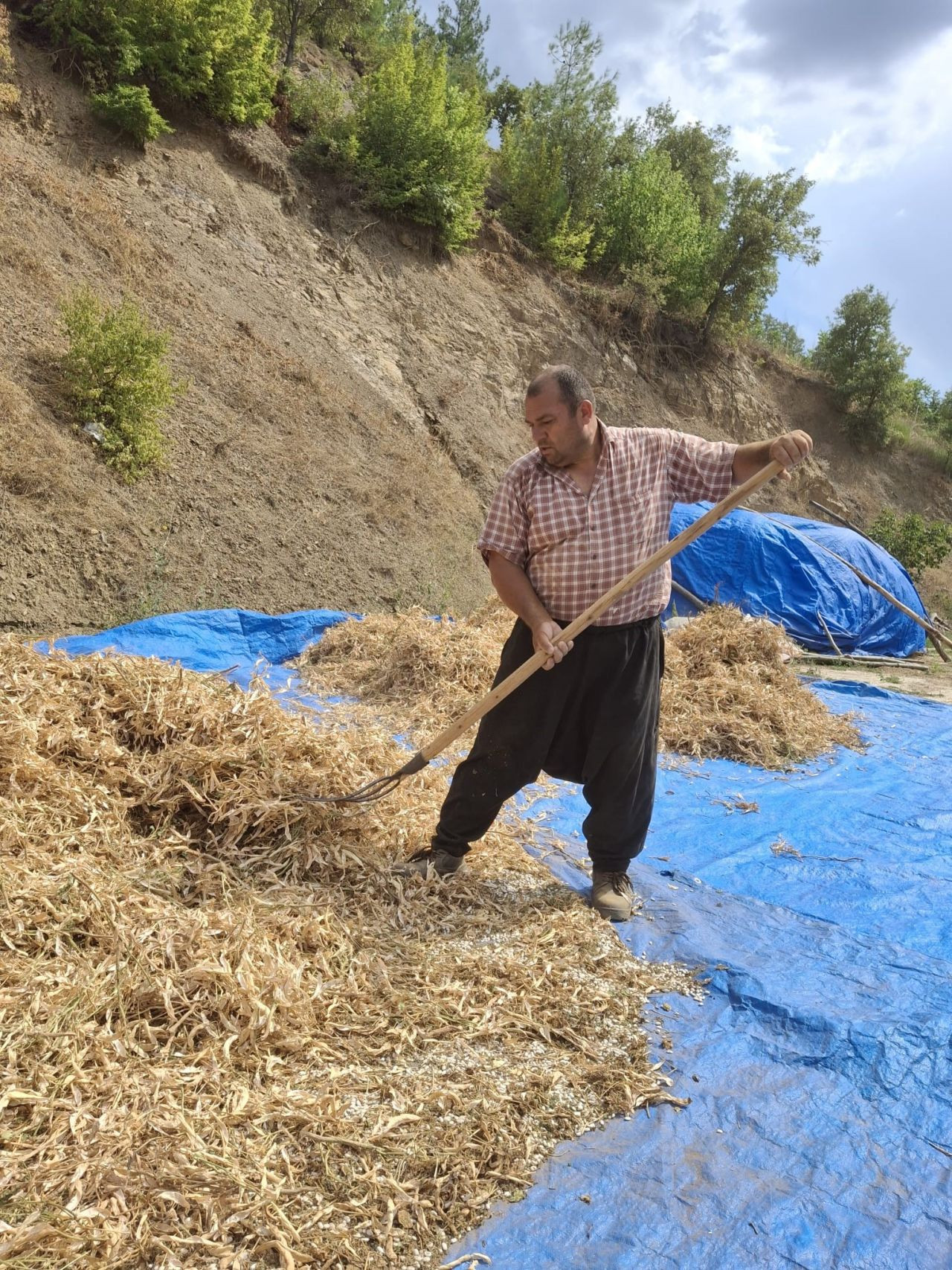 Lezzeti tescilli Tufanbeyli fasulyesi ilçe sınırlarını aştı - Sayfa 1