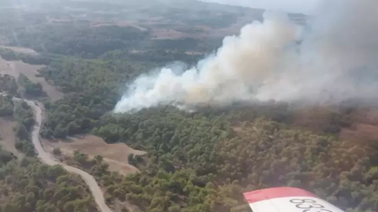 Adana’da Orman Yangını Kontrol Altına Alındı