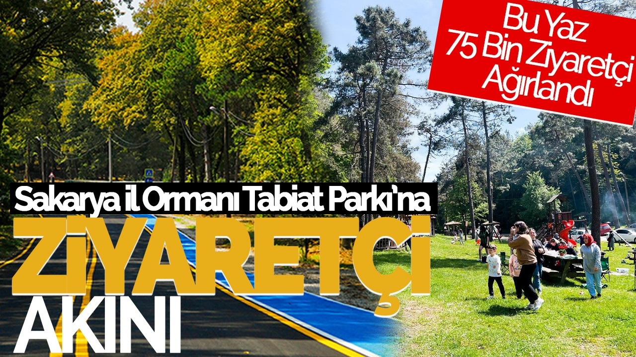 Sakarya İl Ormanı Tabiat Parkı, Bu Yaz 75 Bin Ziyaretçi Ağırladı